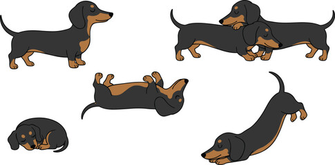 Cute dachshund dog cartoon characters set with different poses, playing, sleeping and stretching, funny pet animal vector illustration collection isolated on background © Chandra 