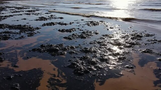 Dark Tar-Like Patches Marring a Sandy Beach Shoreline with Reflecting Sunlight and Gentle Waves