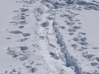 Fototapeta premium alpine ski tracks on the snow in dolomites mountains