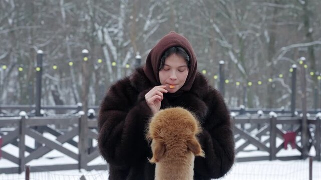 Alpaca Hand Feeding By Woman In Snowy Animal Park