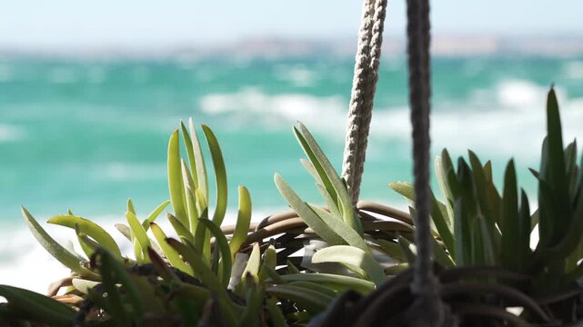Marseille en France, plage de la Bonne Brise -temp&ecirc;te de vent le Mistral - paysage m&eacute;diterran&eacute;en 