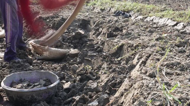 Farmer digging soil by hand with spade