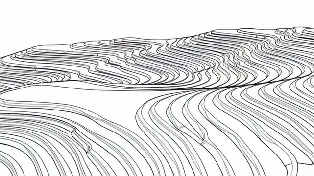 topographic map illustration with wavy lines on white background