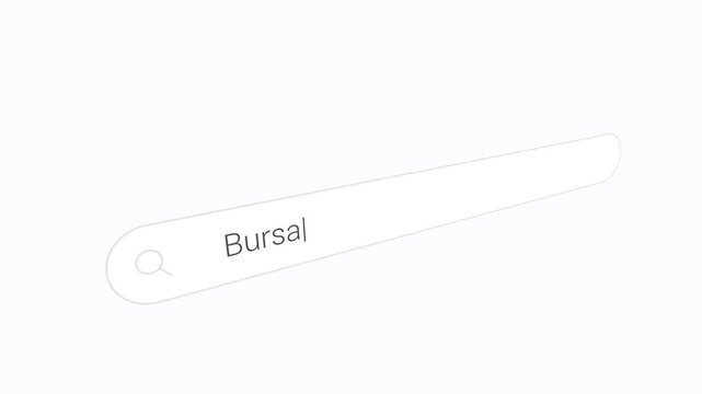 Typing Bursa Into Computer Search Bar - Close Up