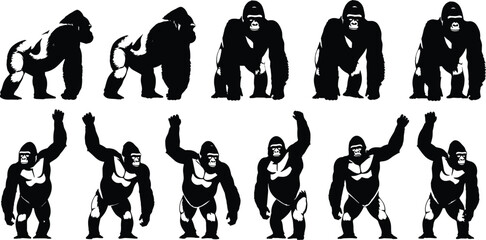 Black silhouette vector illustration set of powerful gorillas in various poses including standing walking and beating chest isolated on white background for wildlife design. © MstLata