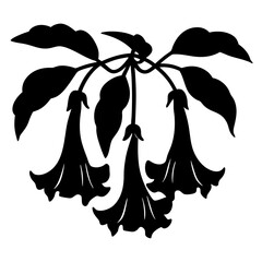 Vintage botanical brugmansia flower silhouette, black floral angel trumpet vector illustration, elegant garden plant with hanging blossoms © SUMON
