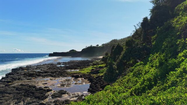 Bright blue sky above turquoise waves. Ocean waves crash on black rocks. Lush green grass covers the shore. Palm trees sway in the breeze. Sunlight highlights vibrant foliage