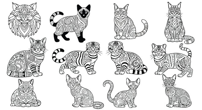A collection of various cat breeds in different poses and line art styles for cat breeds photography reference