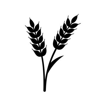 Simple minimalist black silhouette of two wheat stalks on a white background
