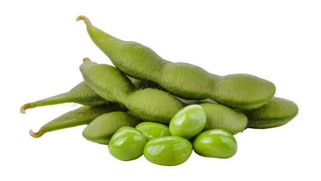 Vibrant green soybean pods and plump glistening beans, isolated on transparent background for healthy food advertising and recipe designs