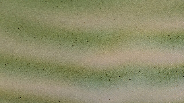 Aerial view of undulating greens meet pale sands on the Isle of Gigha's shores, Argyll and Bute, Scotland.