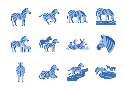 Collection of playful blue zebras in various poses and activities