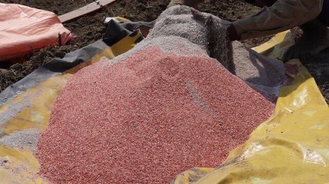 Farmer Large piles of manually mixed Muriate of Potash and Urea fertilizers