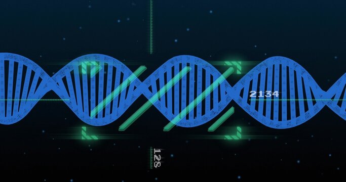 Displaying blue DNA helix graphic moving across center in virtual UI, with green bars and metrics