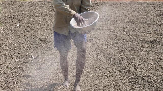 Person manually broadcasting fertilizer across a prepared field