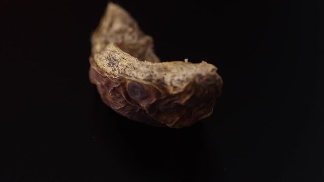 areca catechu - Betel Nut Palm