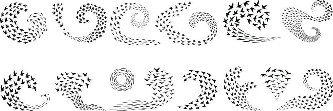 A school of Birds in a sky silhouette pattern