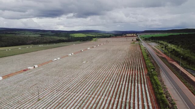 Plastic mulch vegetable fields in Formosa, Goi&aacute;s, Central-West Brazil, with parallel rows, central service road and nearby paved road supporting intensive horticulture production, aerial glide, wide