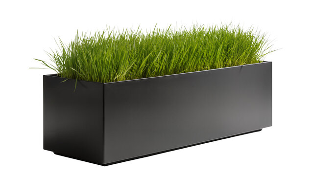 Modern rectangular black planter box filled with vibrant green grass, isolated on transparent background for landscaping designs and garden decor