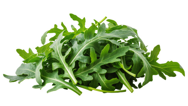 Fresh vibrant arugula leaves densely piled and showing natural textures, isolated on transparent background for culinary designs and menus