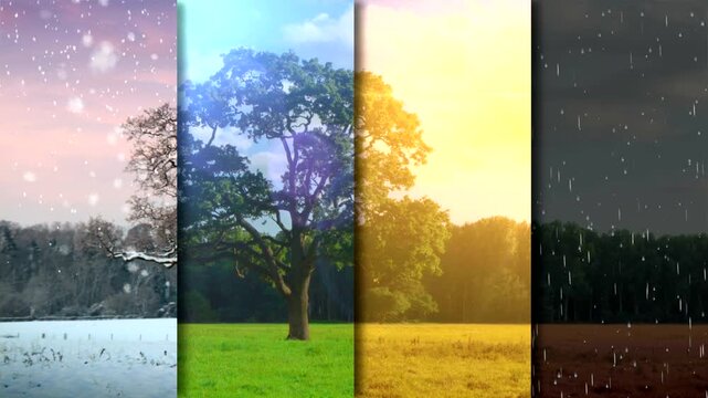 A three in 4 different seasons