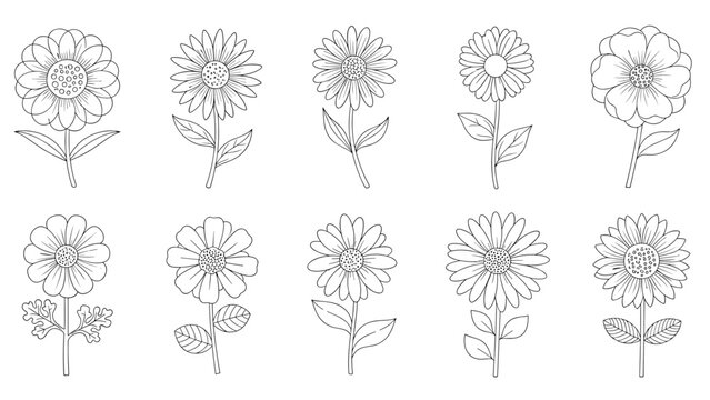 Set of ten various hand-drawn line art sketches of blooming flowers with stems and leaves arranged in two horizontal rows.