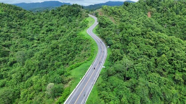 Winding Road Through Lush Green Forest and Hills Offering Scenic and Tranquil View of Natures Vibrant Greenery and Curving Path