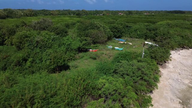 Aerial view of traditional Bangka boats resting on green grass near a tropical beach surrounded by dense vegetation creating an unusual coastal scene on Bantayan Island Philippines.
Untouched Nature.