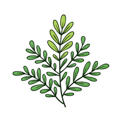 Obraz premium Delicate Green Leafy Branch Illustration Fresh Growth Botanical Element