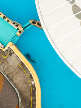 Aerial view of a stunning turquoise pool contrasting with white structures, an orca swimming below, Puerto de la Cruz, Canarias, Spain.