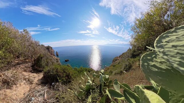 The camera moves through large cactus leaves, gradually revealing a coastal view with blue sea and distant cliffs, with bright sunlight shining through the leaves