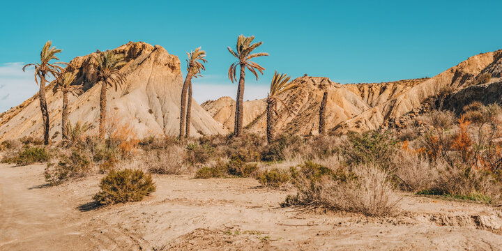 Steep cliff in arid mountainous semi desert landscape with vegetation and palm trees under a blue sky. Desierto de Tabernas, Almeria, Andalusia, Spain.