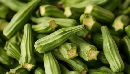 Fototapeta premium Close-Up of Fresh Green Okra Pods with Detailed Texture and Soft Studio Lighting for Farm Freshness