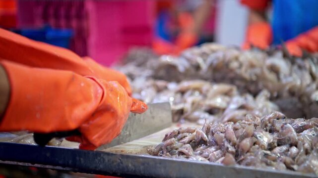 Workers are using knives to cut the sardines in order to pack them into cans, which is one of the processes and production lines in a canned fish factory