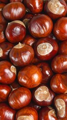 Obraz premium A close-up of a large group of shiny brown chestnuts