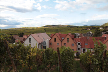 Vineyard landscape in France showcasing rows of grapevines with a picturesque village and rolling hills under a cloudy sky in the background © Slepitssskaya