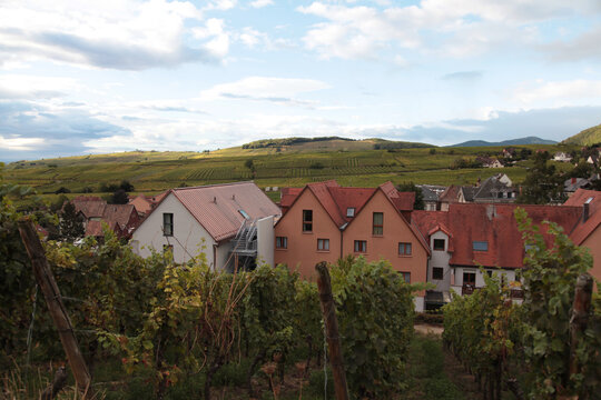 Vineyard landscape in France showcasing rows of grapevines with a picturesque village and rolling hills under a cloudy sky in the background