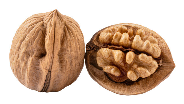 Whole walnut shell with intricate textured surface and cracked walnut revealing segmented kernel, isolated on transparent background for healthy eating concepts