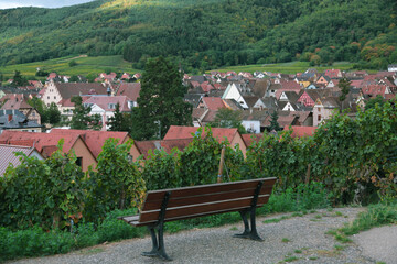 Scenic view of a village surrounded by vineyards and hills in France with a wooden bench
