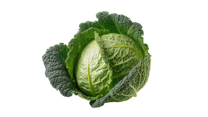Fototapeta premium Savoy cabbage head with tightly packed deeply textured green leaves, isolated on transparent background for healthy eating concepts