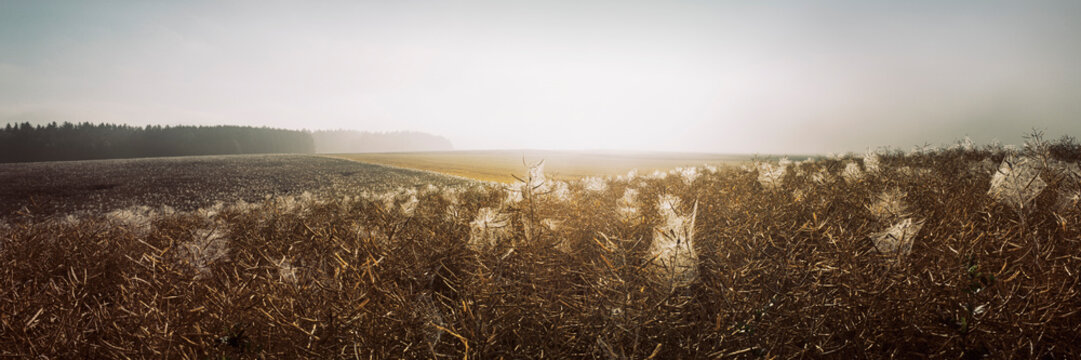 Panoramic view of sunny agricultural landscape, Lenzing, Austria
