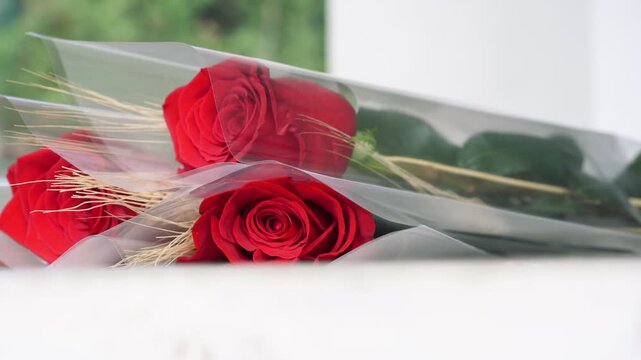 Three red roses wheat cellophane wrap white surface green bokeh sant jordi gift horizontal catalonia spain
