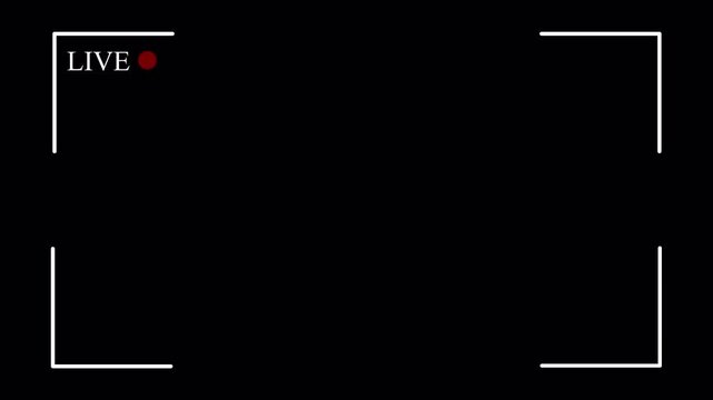 live button frame  Animation Simple live streaming icon animation with red circle blinking live streaming and broadcast icon in transparent background in4K animation with alpha channel 