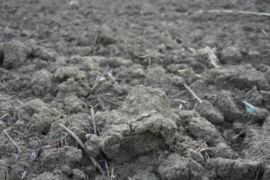 Dry Soil with Rocks and Twigs