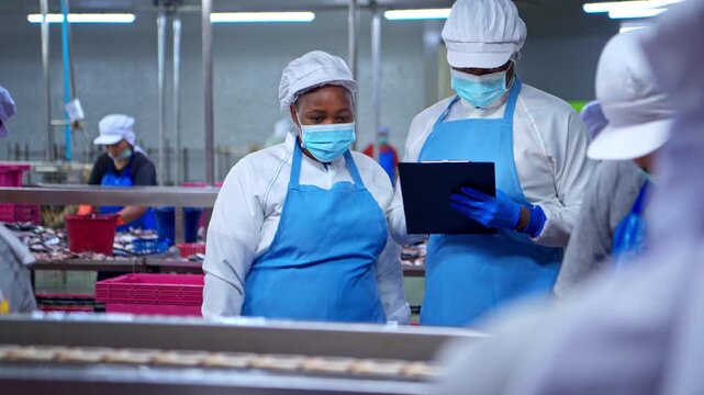 Both of quality control officer inspecting raw fish materials in a seafood processing factory before entering the production line