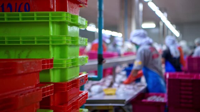 Workers are using knives to cut the sardines in order to pack them into cans, which is one of the processes and production lines in a canned fish factory