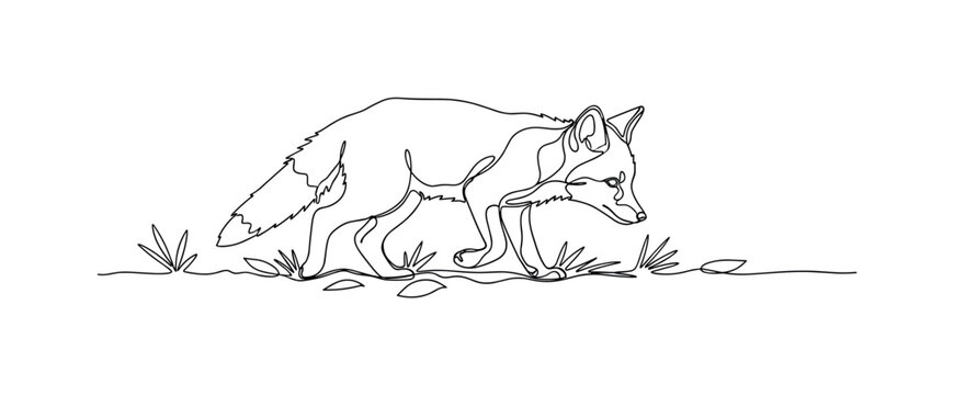 Baby Fox Cub. Minimalistic one-line drawing fox cub walking in forest floor, continuous single black line on white background, simple outline style, no