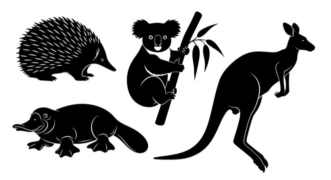 Australian wildlife silhouettes set with echidna koala platypus and kangaroo.