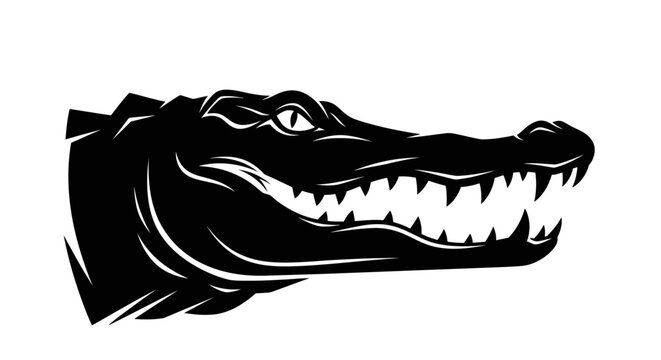 Alligator head with sharp teeth in black and white.