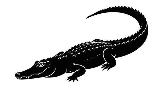 Alligator or crocodile in black and white silhouette.